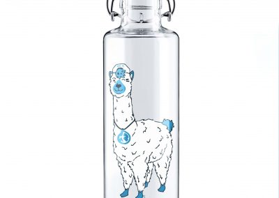 Skleněná lahev s duší - Lama